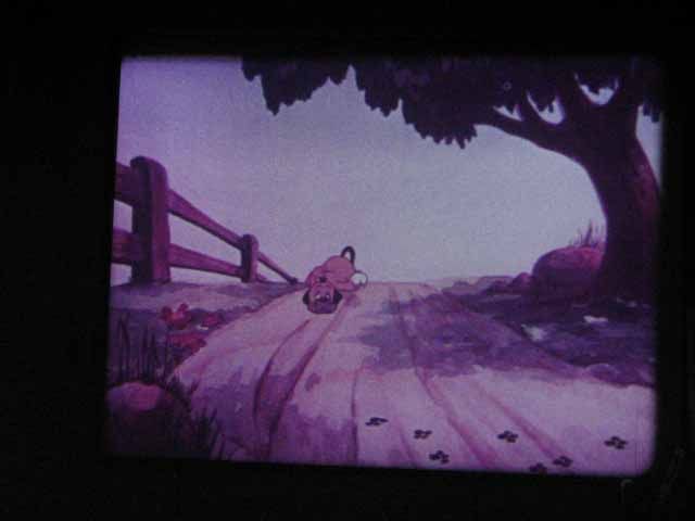 16mm Film 39 HARE UM SCARE UM  Bugs Bunny   Fuji  