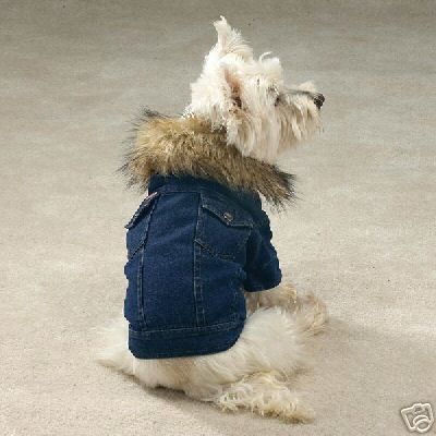 Dog Coat Demin Dog Jacket with Removeable Faux Fur Collar X large 20 