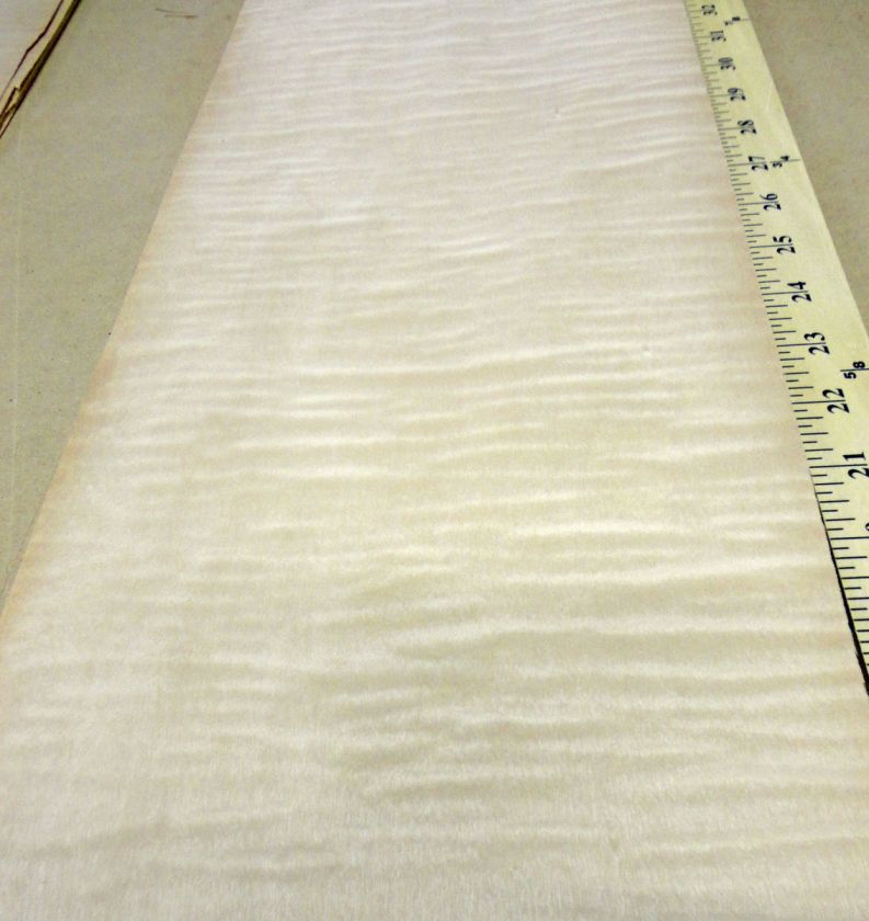 Curly Maple wood veneer 9 x 48 with no backing (raw veneer)  