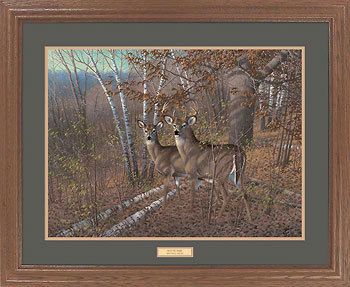 MICHEAL SIEVE ACUTE PAIR S/N DEER Print Framed  