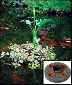 Sundial Floating Island Planter   Pond Koi/Water Garden  