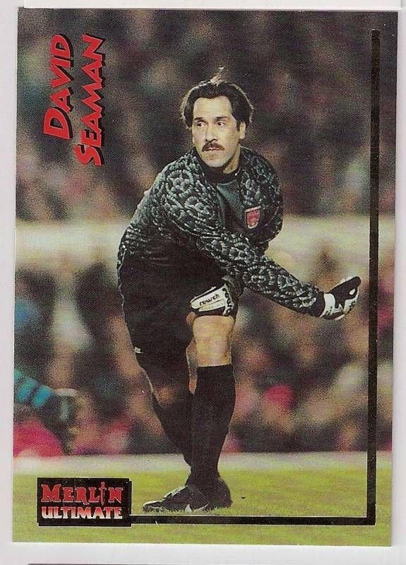 RARE 1995 96 DAVID SEAMAN ARSENAL MERLIN CARD  