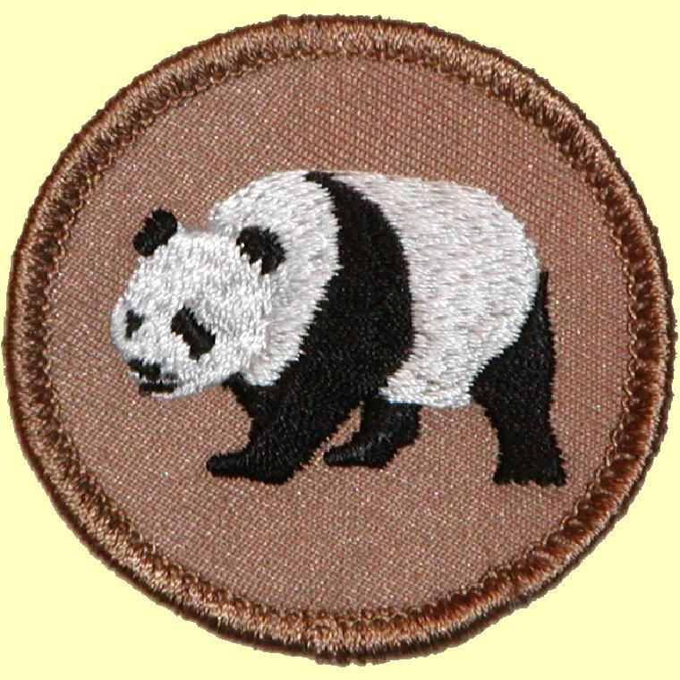 Cool Boy Scout Patch   Panda Patrol (#101)  