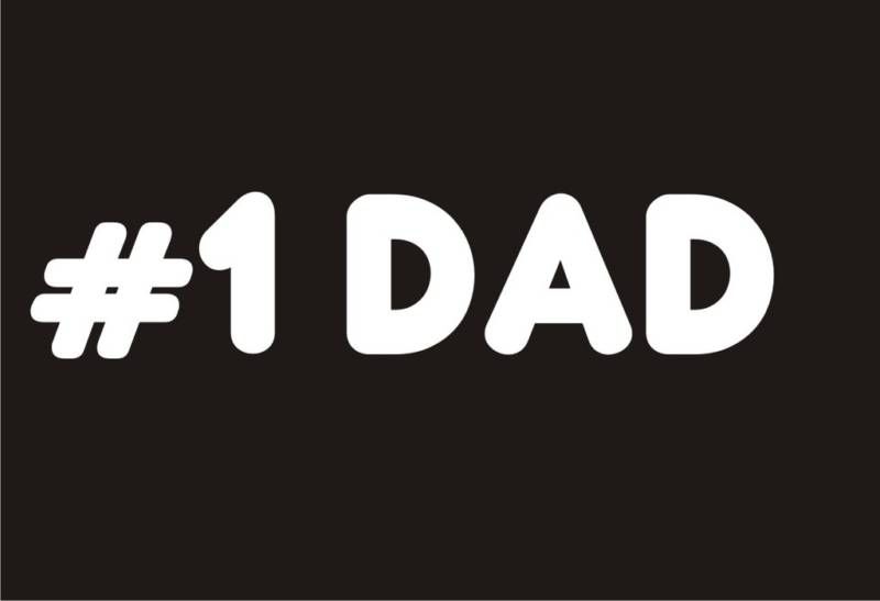 Dad Funny T Shirt Fathers Day Humor Cool Gift Tee  