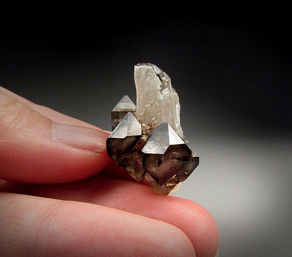 Smokey Quartz, Orange River, South Africa  