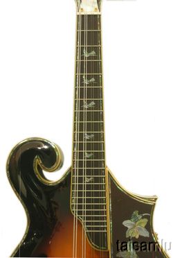 Inlaid hummingbirds MOP F5 Mandolin,Solid Maple Spruce F5 484  