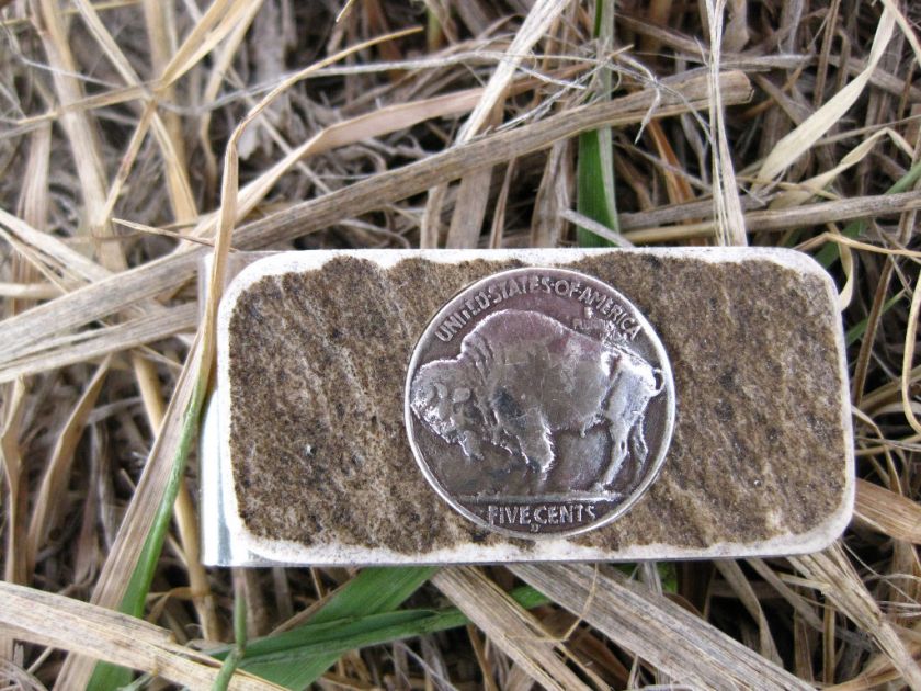 Buffalo Nickel with Antler Shed   Money Clip  