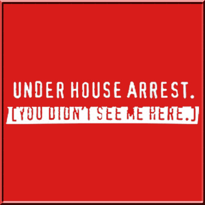 Under House Arrest You Didnt See Me T Shirt S 3X,4X,5X  