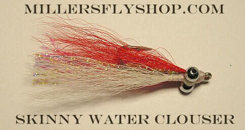 Skinny Water Mini Clouser Red/white #6 Bonefish  