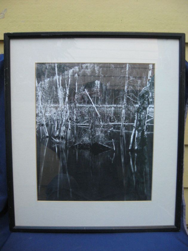   Werling Silver Gelatin Photograph Beaver Pond Alaska Ansel Adams