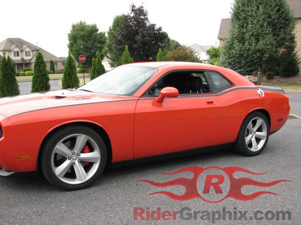 2008 & Up Dodge Challenger Pinstripe Bodyline Stripes  