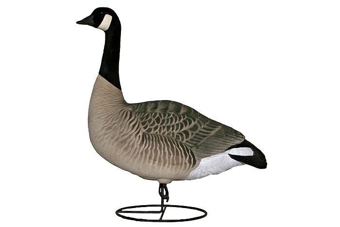 Dakota Decoy Company Premium Canada Goose Gunning Decoys