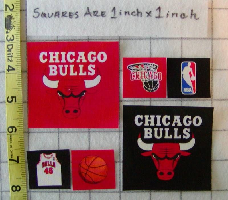 CHICAGO BULLS NBA Iron On Fabric Appliques No Sew  