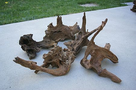 Lot of 5 Malaysian Driftwood Mid Size 13~15 Bulk Pack  