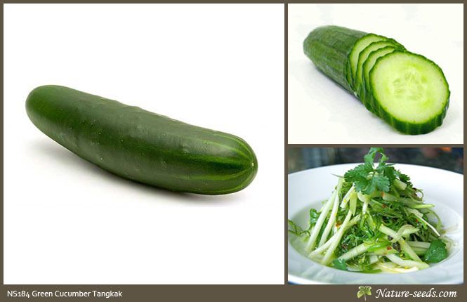   Cucumber Tangkak Heirloom Vegetable / Fruit Gardening Plant Seeds