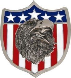   Eagle w/Flag Shield 3 D 2 RV ATV Truck Trailer Hitch Cover  